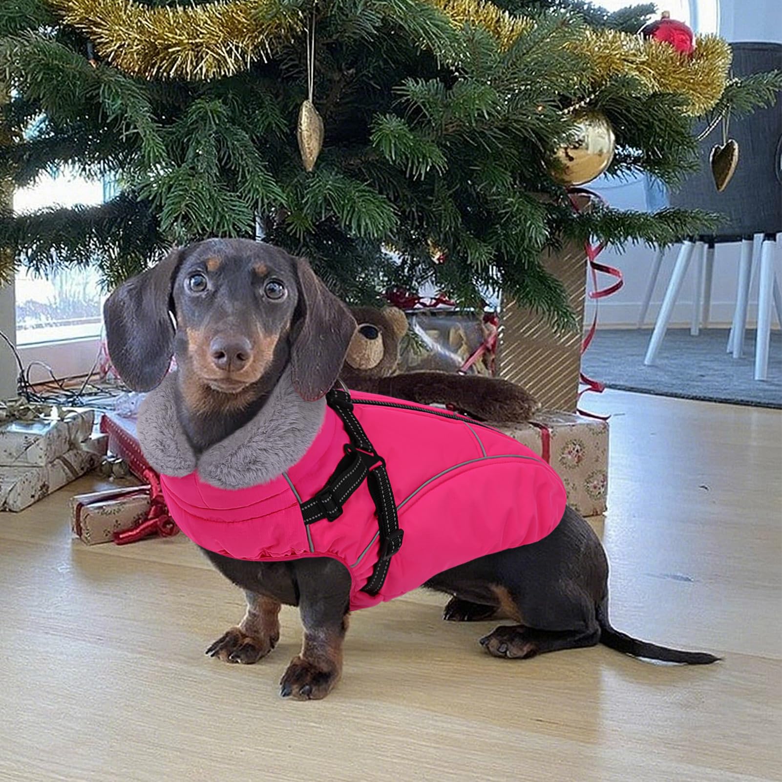 Manteau Preferhouse chien hiver – texture douce: confort enveloppant lors des journées froides.