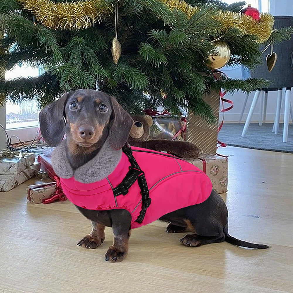 Manteau Preferhouse chien hiver – texture douce: confort enveloppant lors des journées froides.