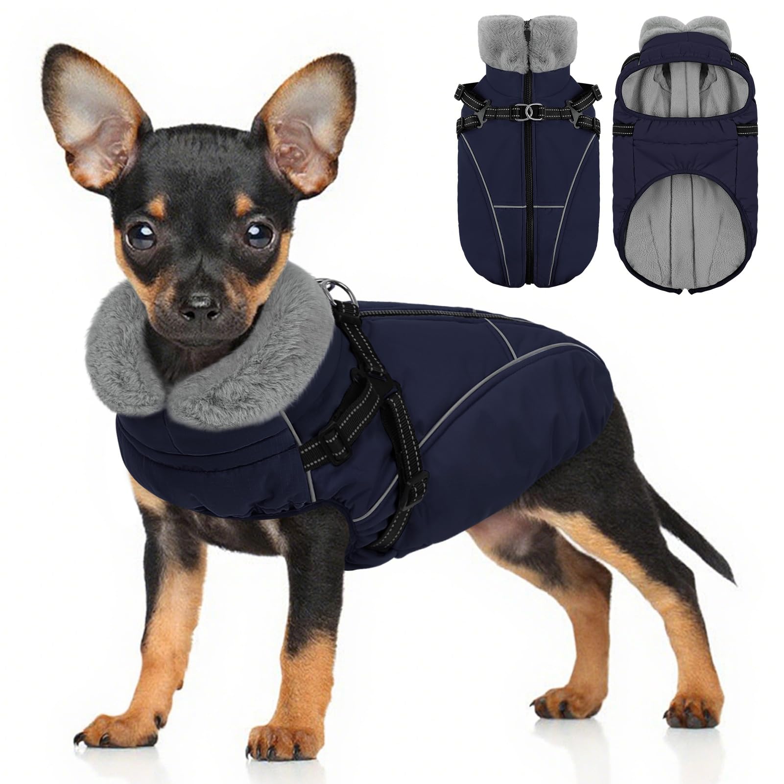 Veste Preferhouse pour petit chien avec zip dorsal : enfiler rapidement et chaleur.