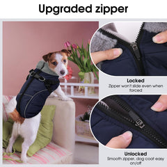 Veste Preferhouse pour petit chien avec bandes réfléchissantes pour meilleure visibilité.
