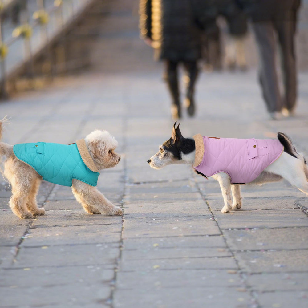 Entretien facile du manteau d'hiver Preferhouse pour chien grande taille en machine