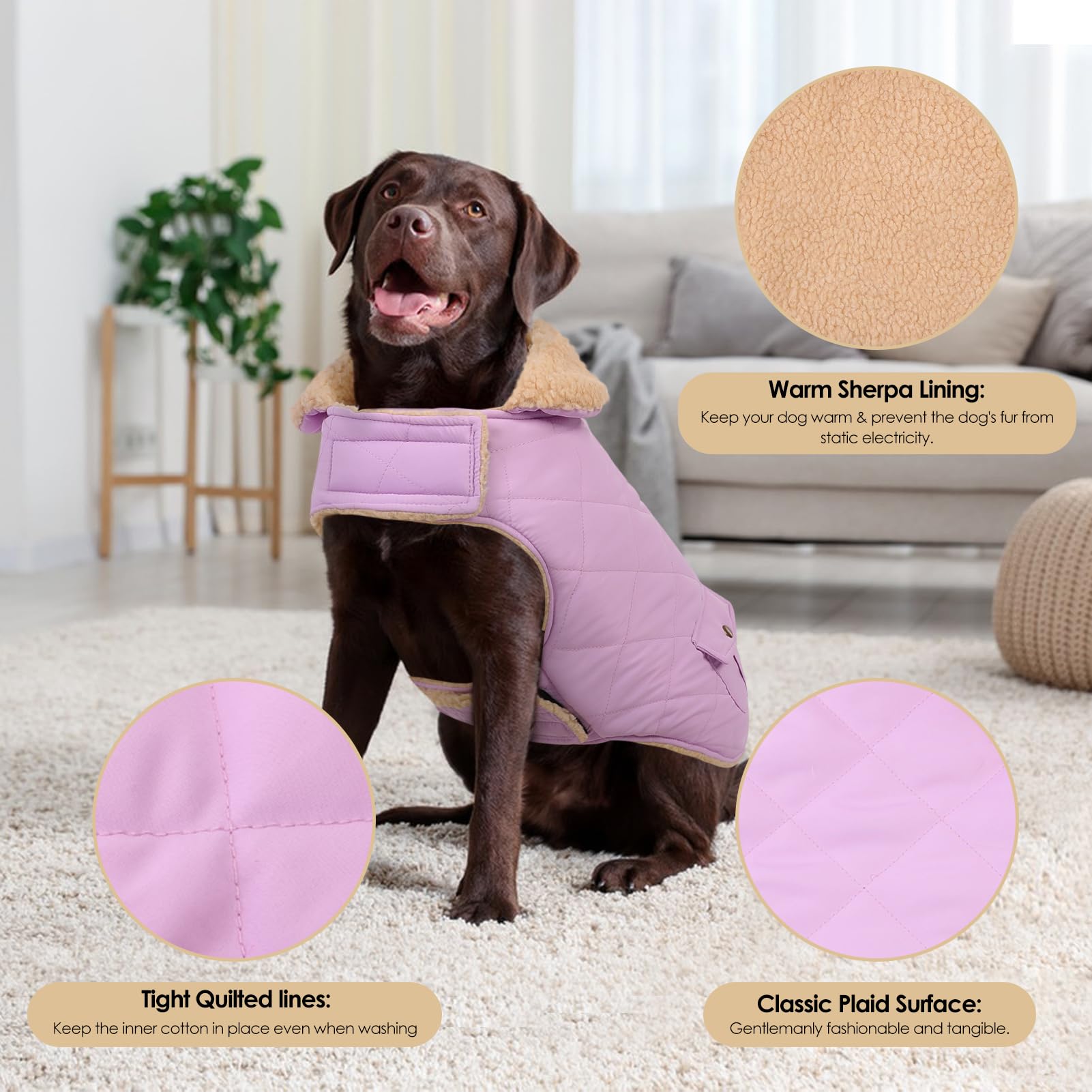 Utilisation quotidienne et extérieure du manteau Preferhouse pour chien grande taille