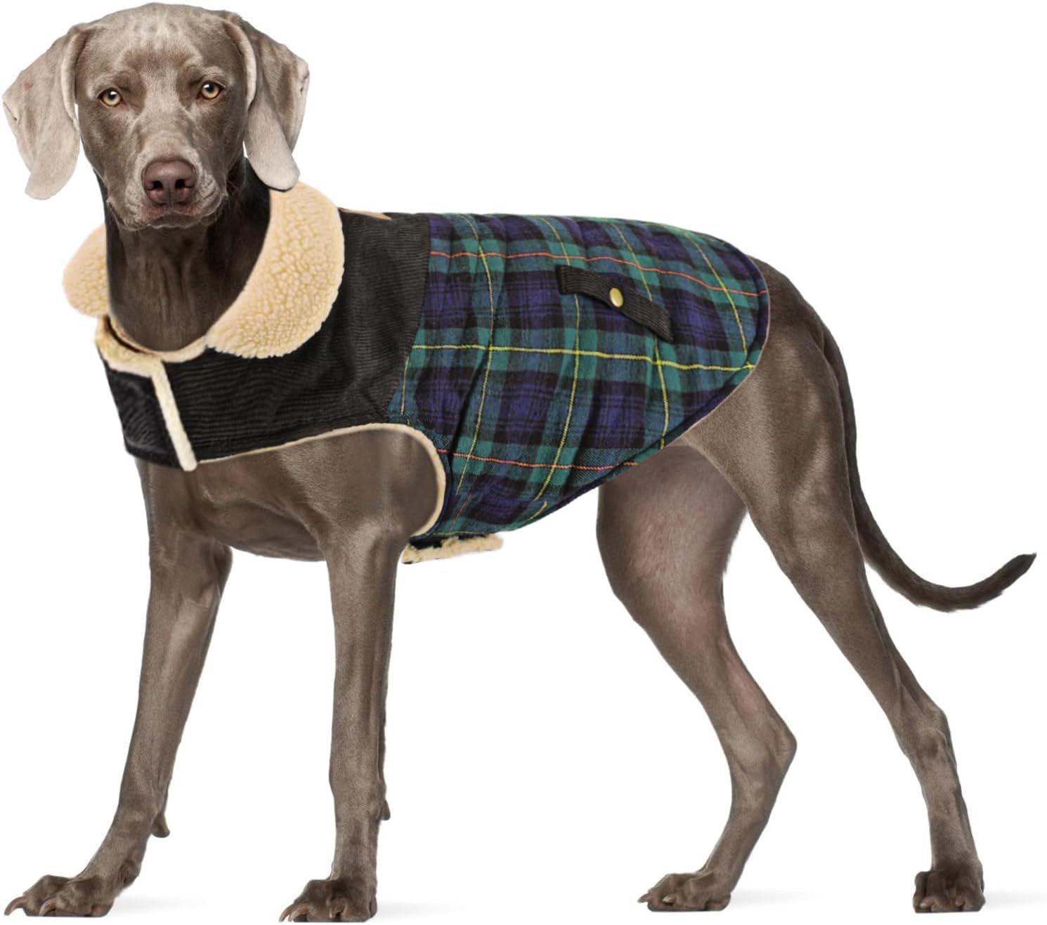 Manteau hiver Preferhouse pour petit chien plaid vert, chaleur confortable en extérieur.