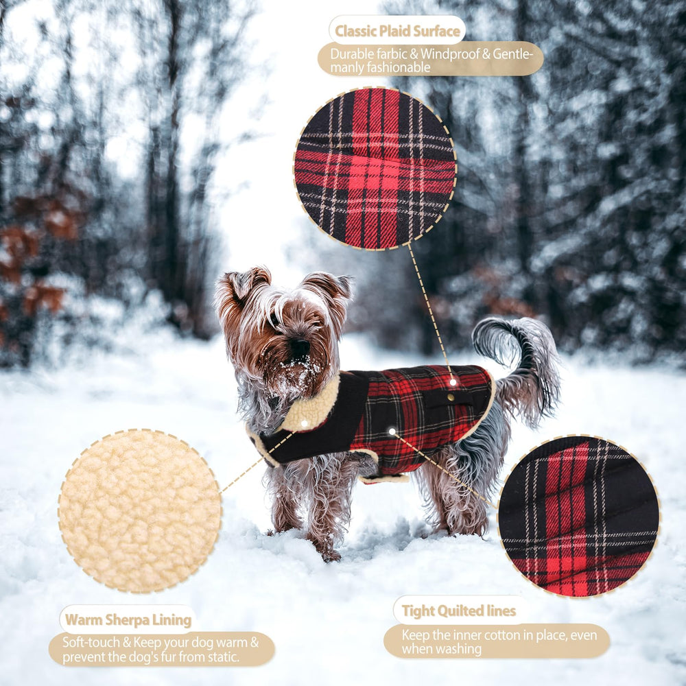 Manteau Preferhouse pour petit chien — motif carreaux intemporel.