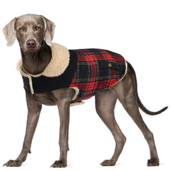 Preferhouse manteau hivernal pour petit chien — vue frontale, chaleur assurée.