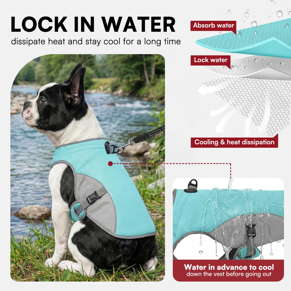 Preferhouse reglage-boucles veste chien bleu taille XL, ajustement personnalise.
