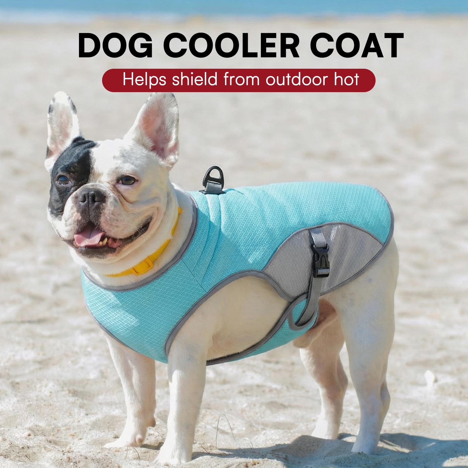 Preferhouse reglage rapide veste chien bleu taille XL, mise en place facile.