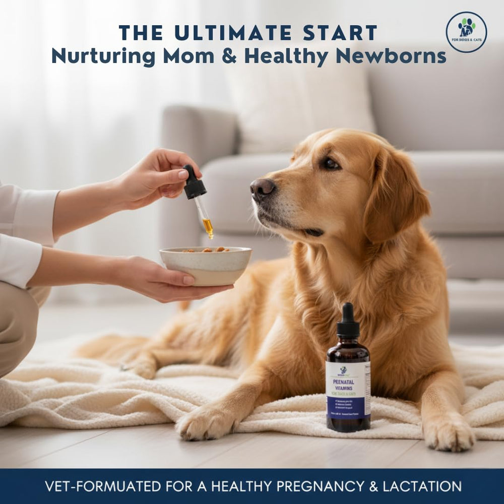 Dosage quotidien Pregnapaws, routine simple pour gestation et lactation.