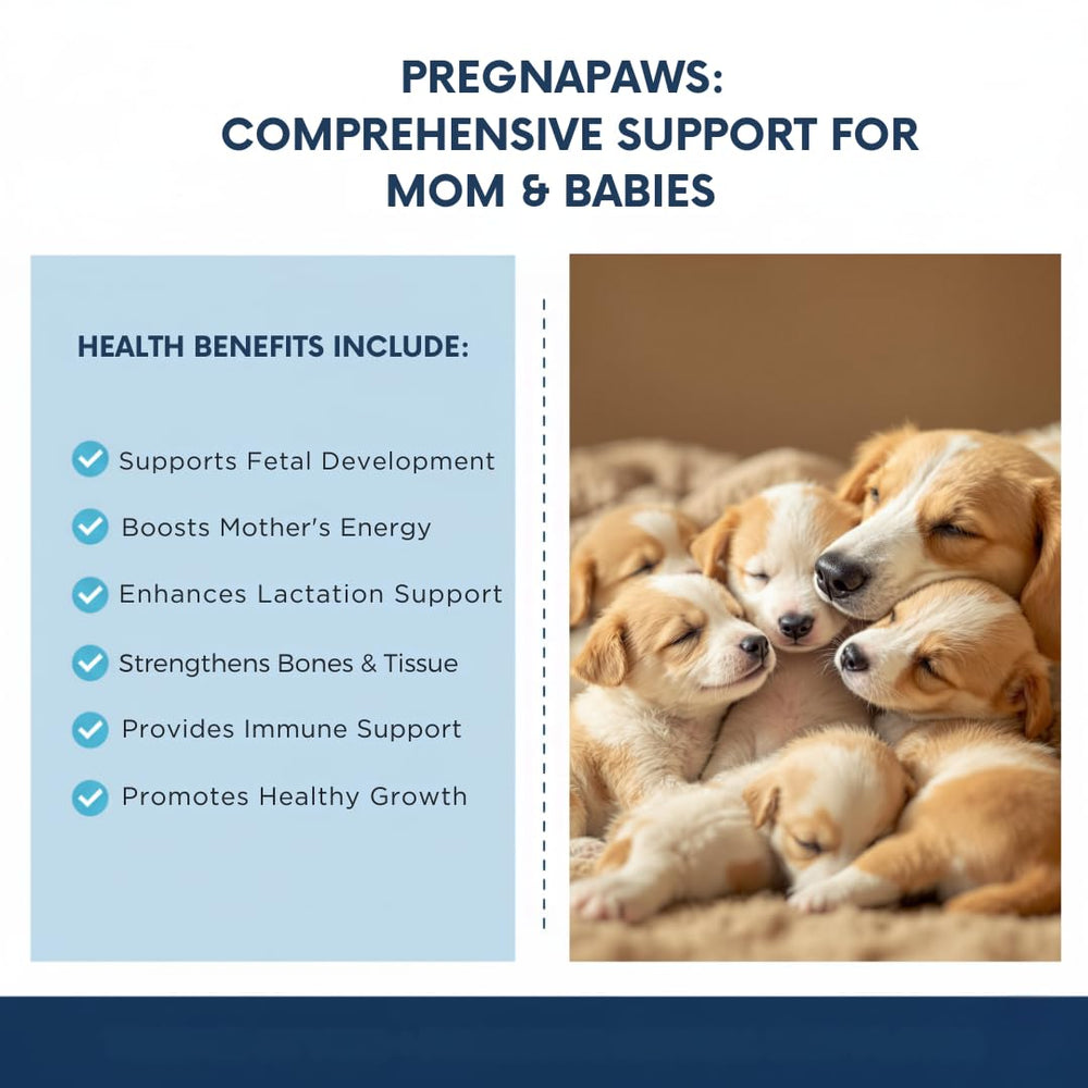 Étiquette Pregnapaws sur le flacon, informations claires pour la reproduction.