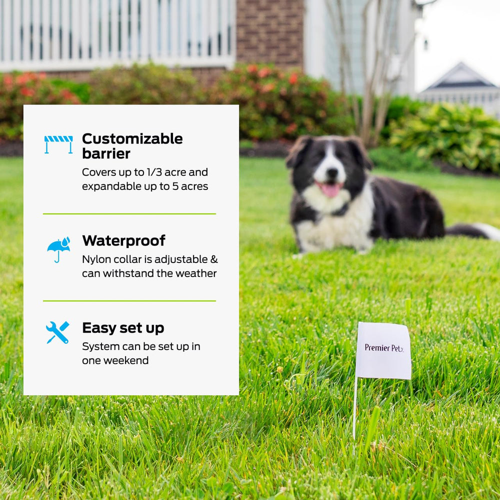 Extension système Premier Pet pour plusieurs chiens, facilitant la gestion du terrain.