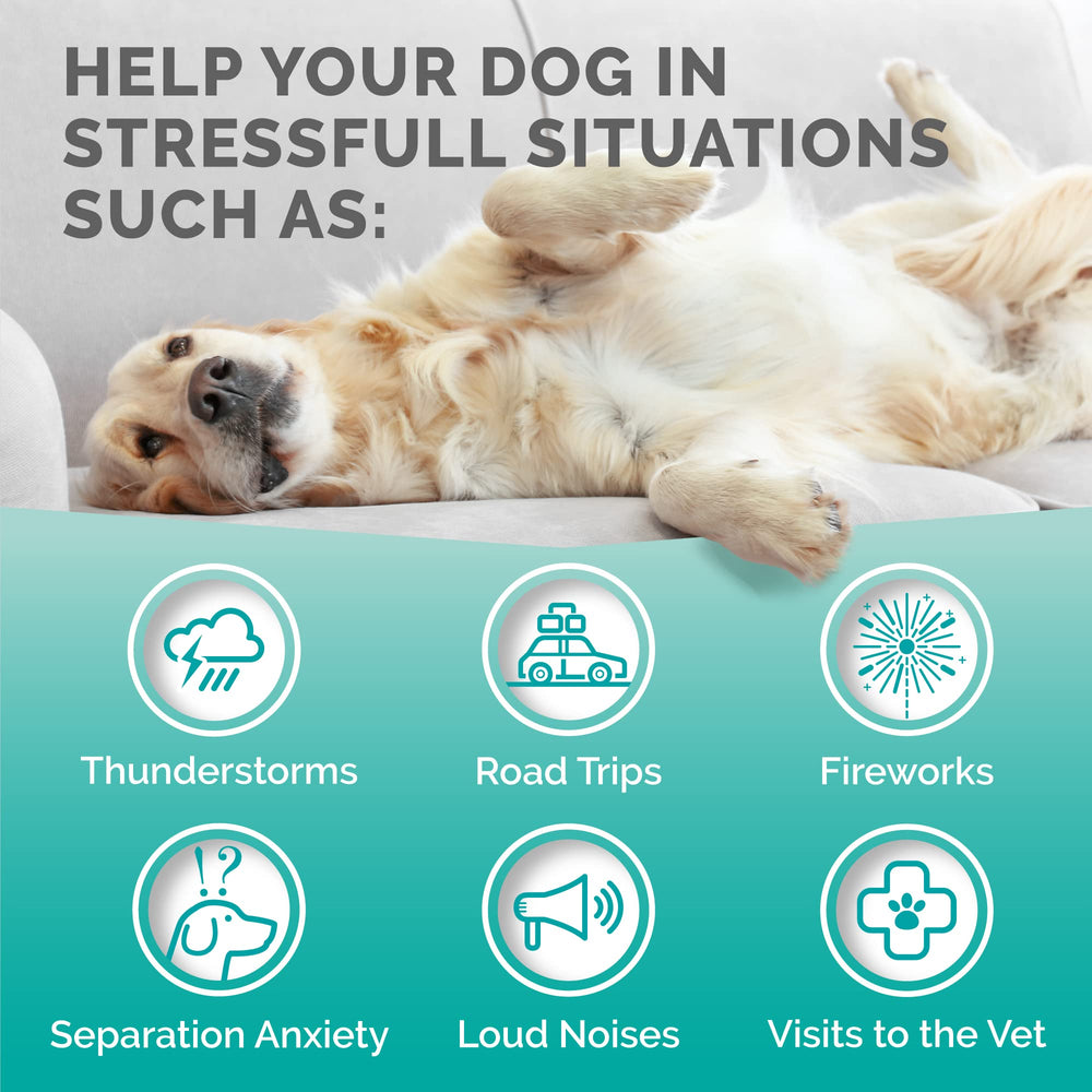 Premium Care Calming Chews – texture moelleuse facilitant le mâchage sans somnolence.