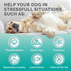 Premium Care Calming Chews – texture moelleuse facilitant le mâchage sans somnolence.