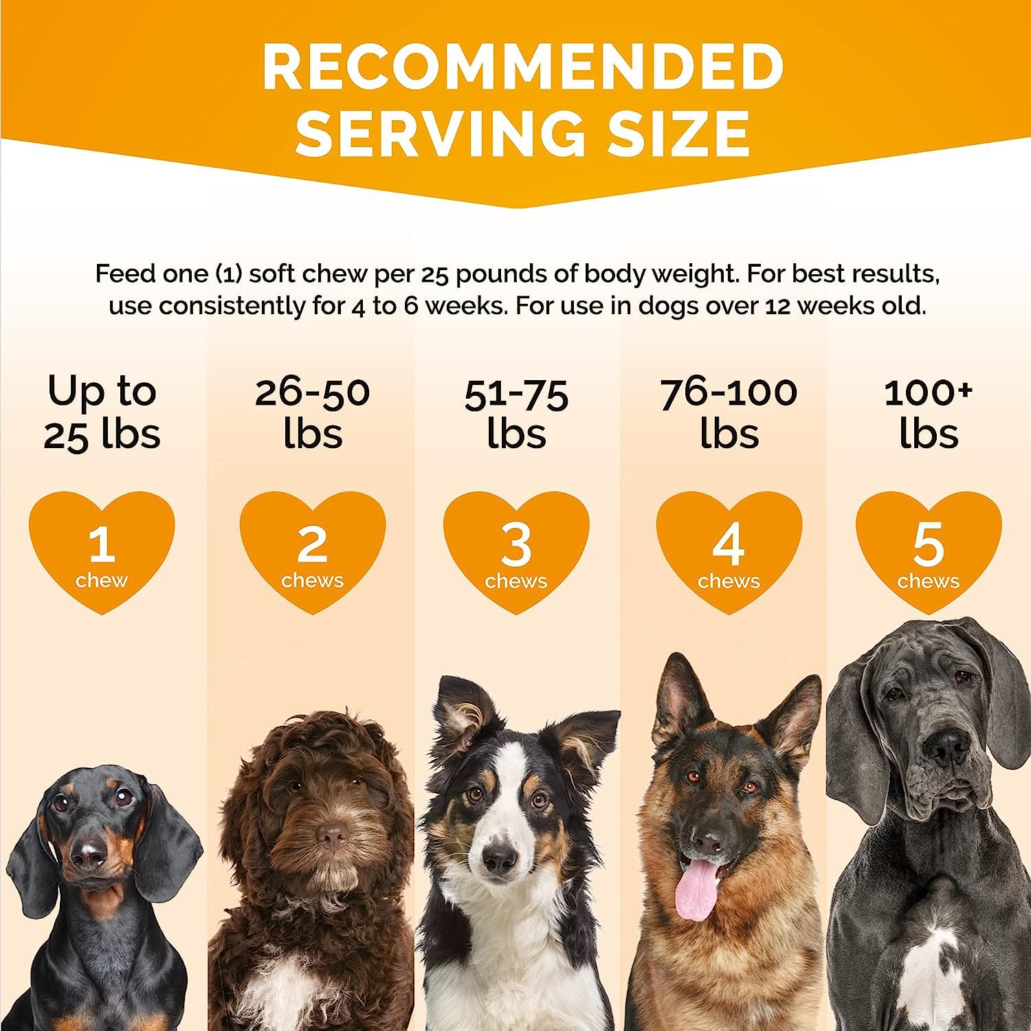 Premium Care colostrum chien: soutient les tissus et le développement sain.