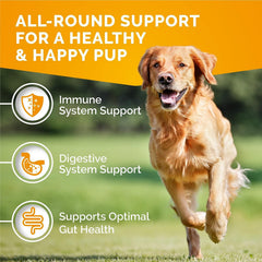 Premium Care pollen abeille chien: riches antioxydants pour soutenir la peau et le pelage.