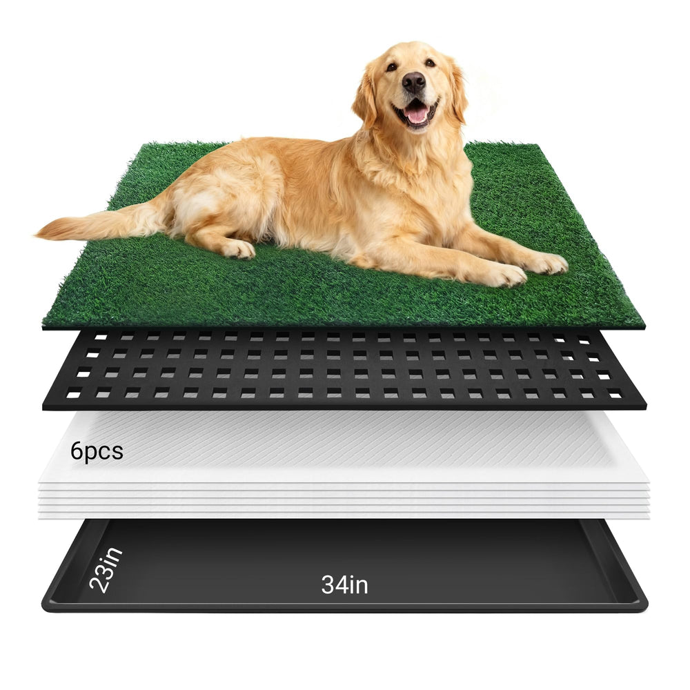 Premjin tapis-herbe-chien-plateau-ensemble: entraînement pratique et protection efficace du sol.