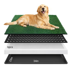 Premjin tapis-herbe-chien-plateau-ensemble: entraînement pratique et protection efficace du sol.