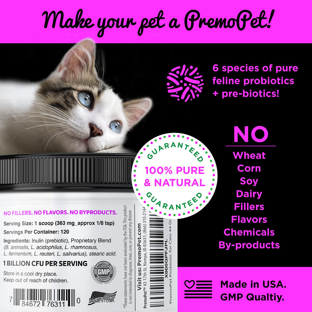 Premo Probiotic chat – ajout-eau-nourriture : facile à intégrer au quotidien.