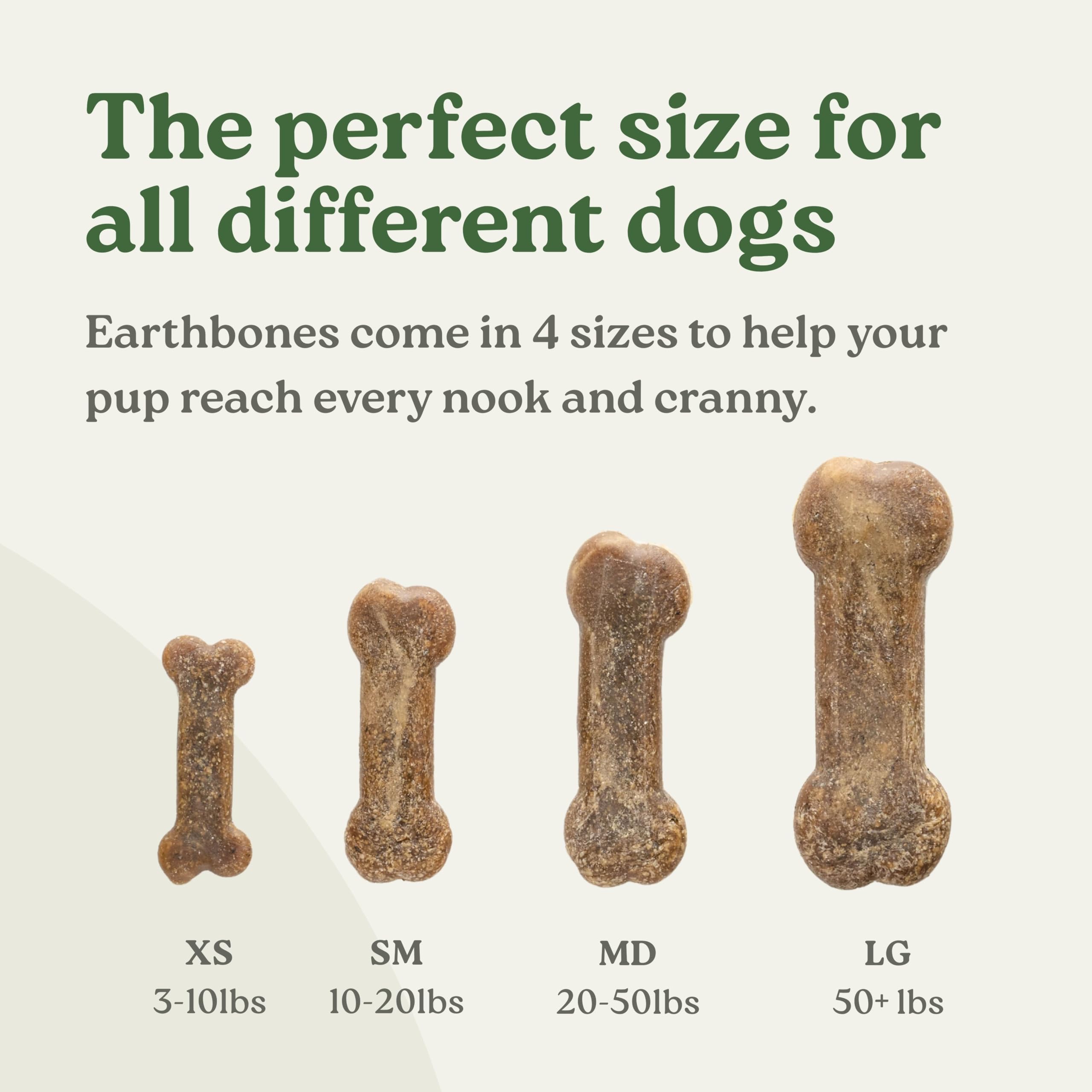 Ingrédients véganes et sans gluten dans Presidio Earthbones.