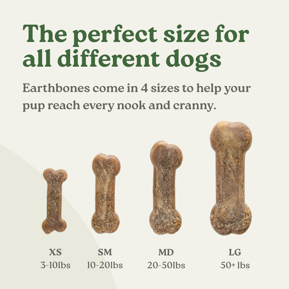 Ingrédients véganes et sans gluten dans Presidio Earthbones.