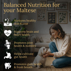 Prestige Breed complexe articulations: mobilité et confort des petites races