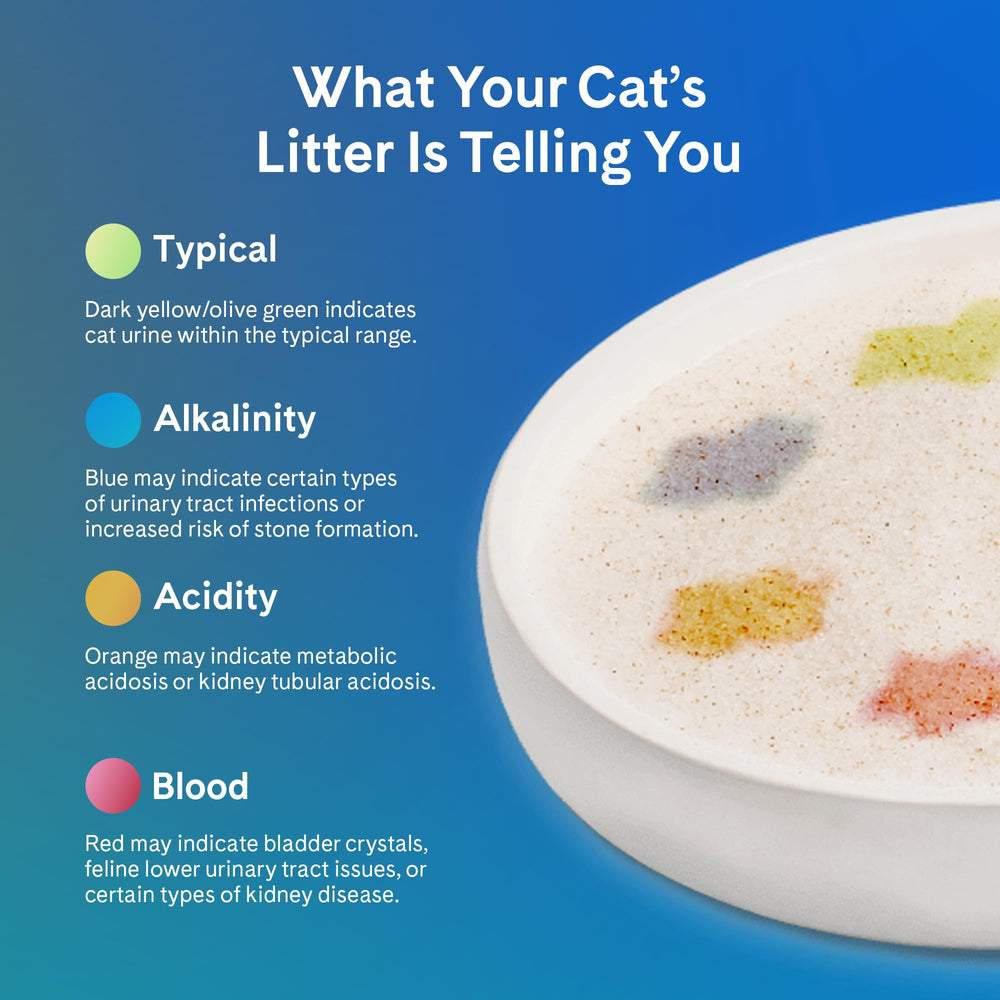 PrettyLitter cristaux de silice qui changent de couleur pour indiquer des variations