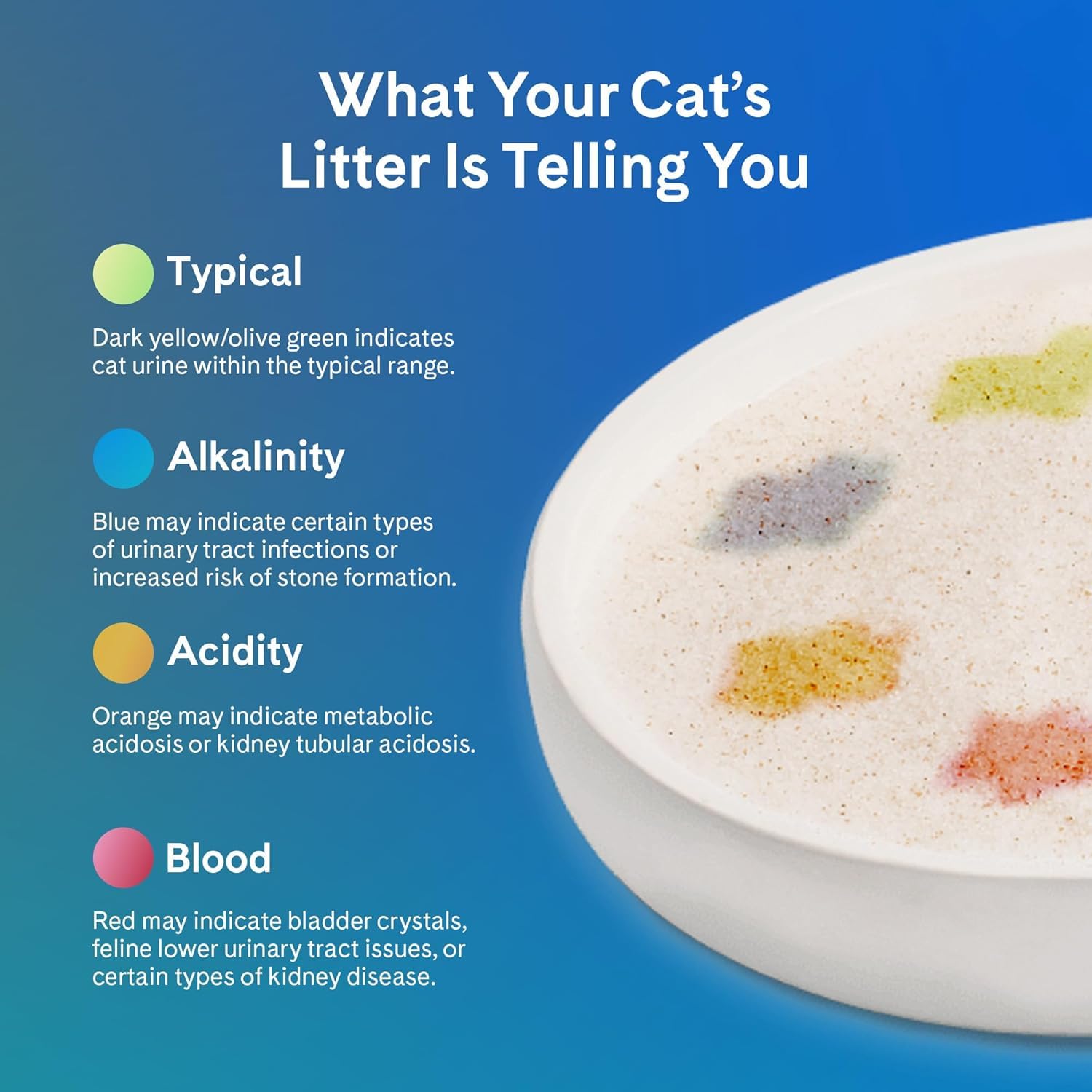 PrettyLitter duree-utilisation-1-mois lotus-fleur, gestion pratique par chat.