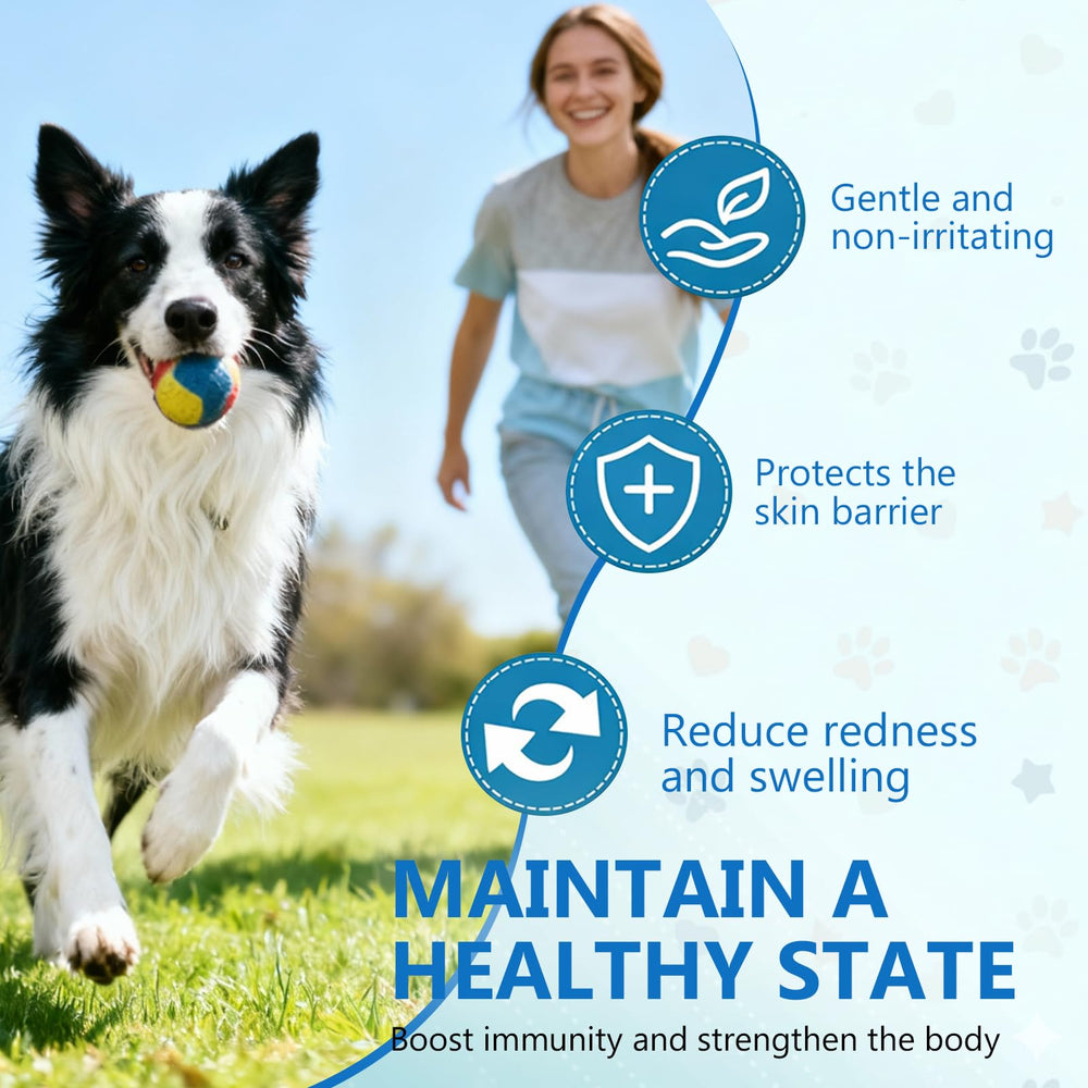 Ajout facile sur nourriture ou eau pour chien, pratique au quotidien.