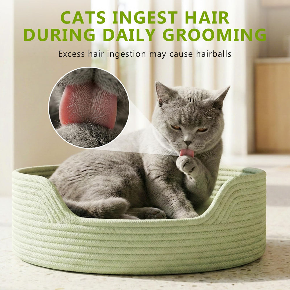 Ingrédients naturels Prettypum, herbe pour chat et fibres sans céréales.