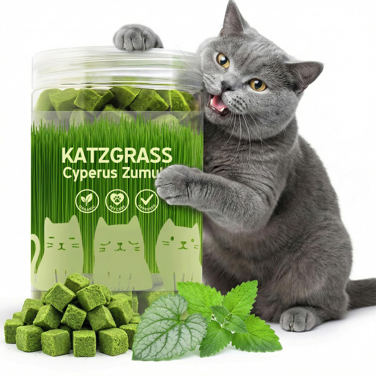 Friandises Prettypum dans le pot d’herbe pour chat, récompense croustillante et pratique.