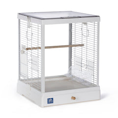 Cage Prevue Crystal Palace vue avant offrant une visibilité sans obstruction