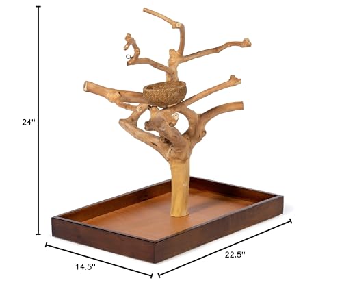 Prevue Hendryx Coffeawood Java Tree Minis — bois naturel unique et durable.