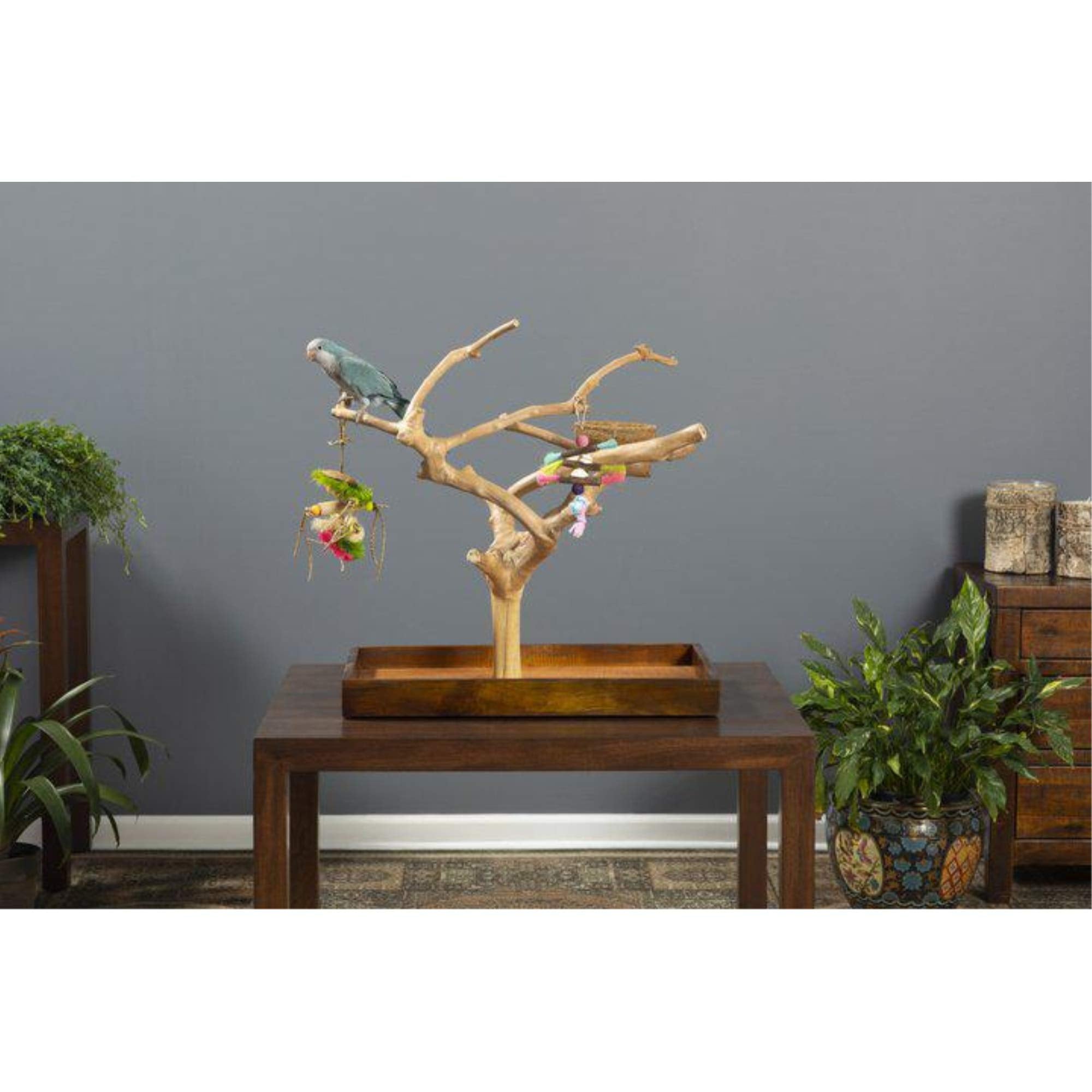 Prevue Hendryx Coffeawood Java Tree Minis — petites branches favorisent l'escalade et l'exploration.