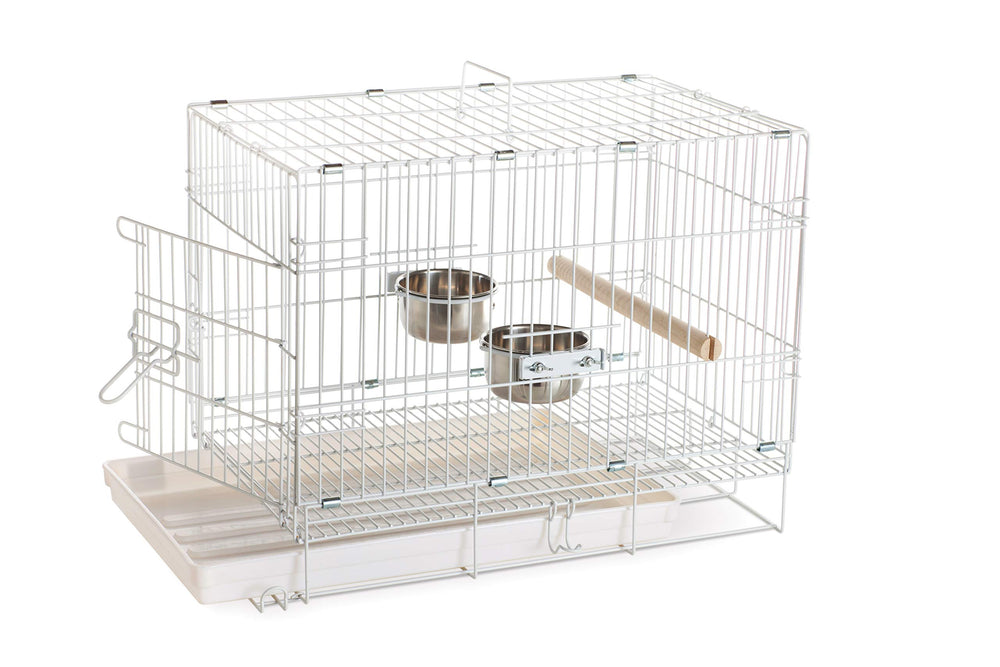 Bols en acier inoxydable et grille amovible inclus.