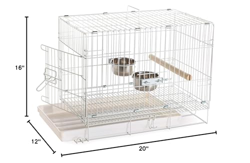 Conception pliable pour un rangement rapide après déplacement.