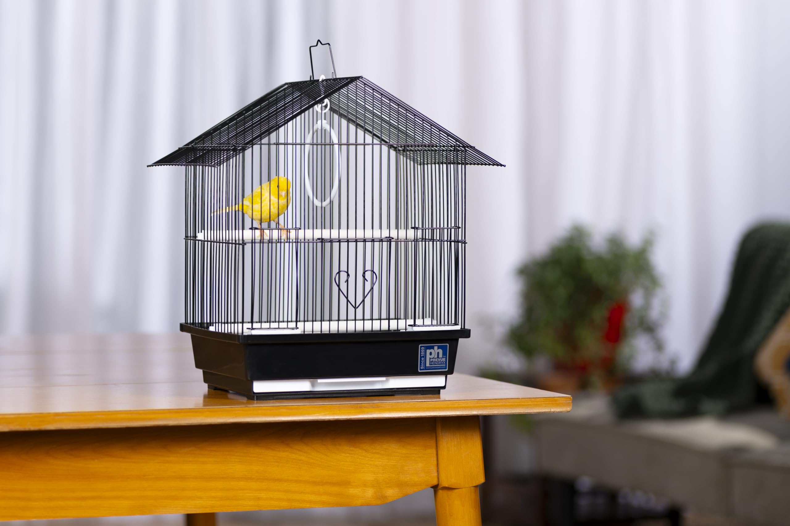 Balançoire et perches pour stimulation et distraction dans le Parakeet Manor.