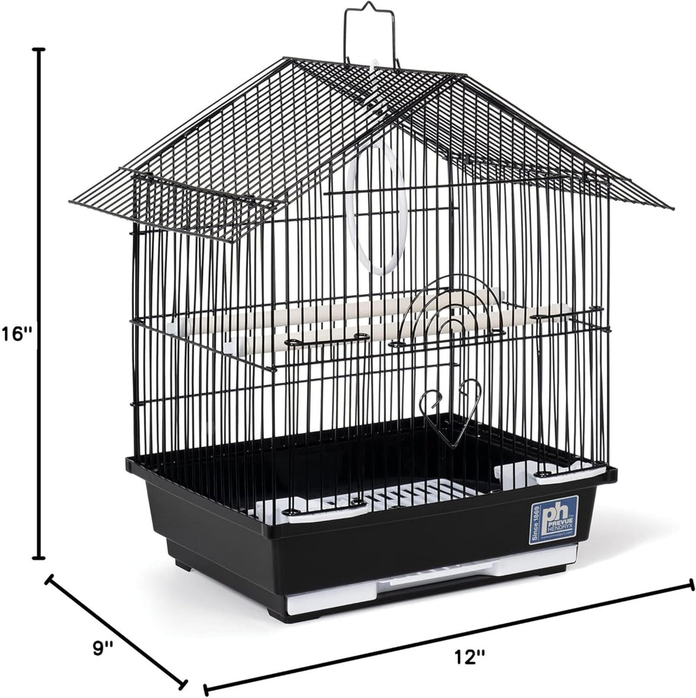 Vue intérieure du Parakeet Manor montrant l’espacement 3/8 pouce et la ventilation.