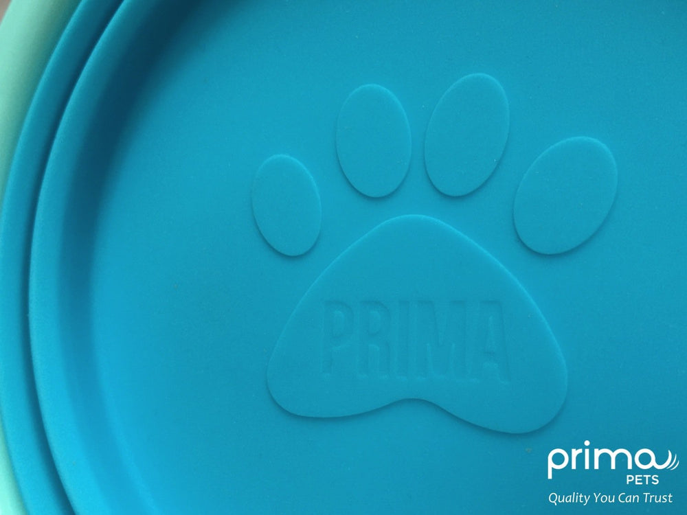 Bol Prima Pets Rose ouvert, pause hydratation lors des activités