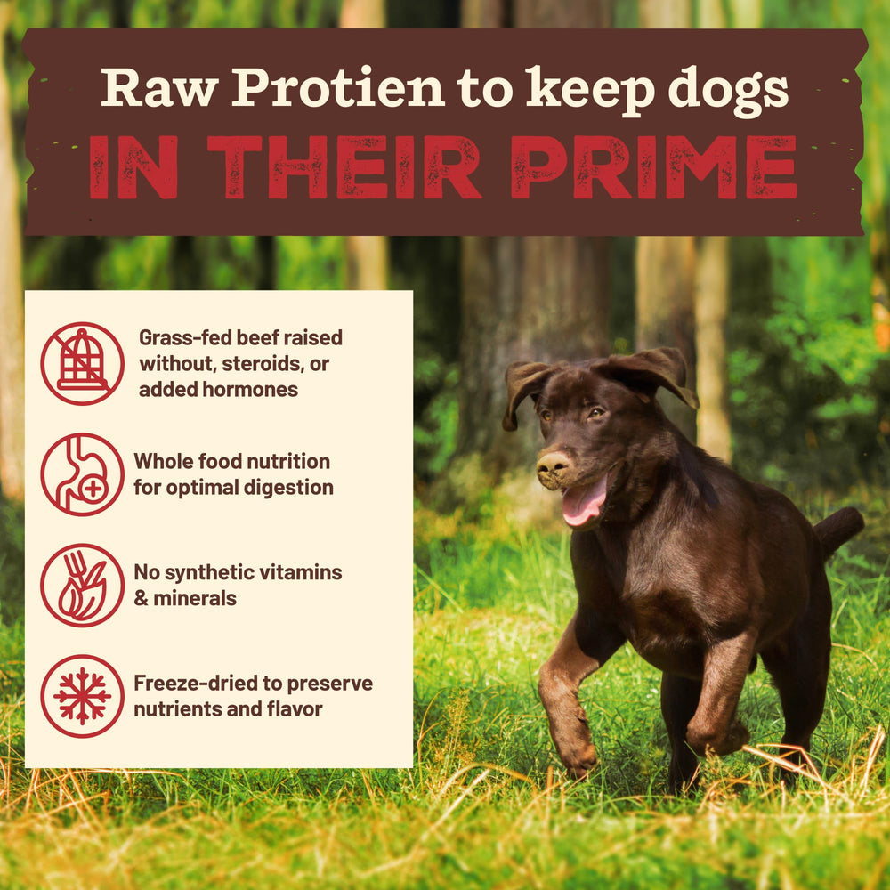 Croquettes Primal boeuf – ingrédients entiers, sans additifs synthétiques.