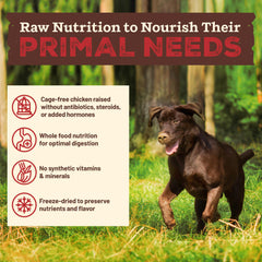 Primal Pet Foods ingrédients entiers: carottes, kale, patates douces et pommes.