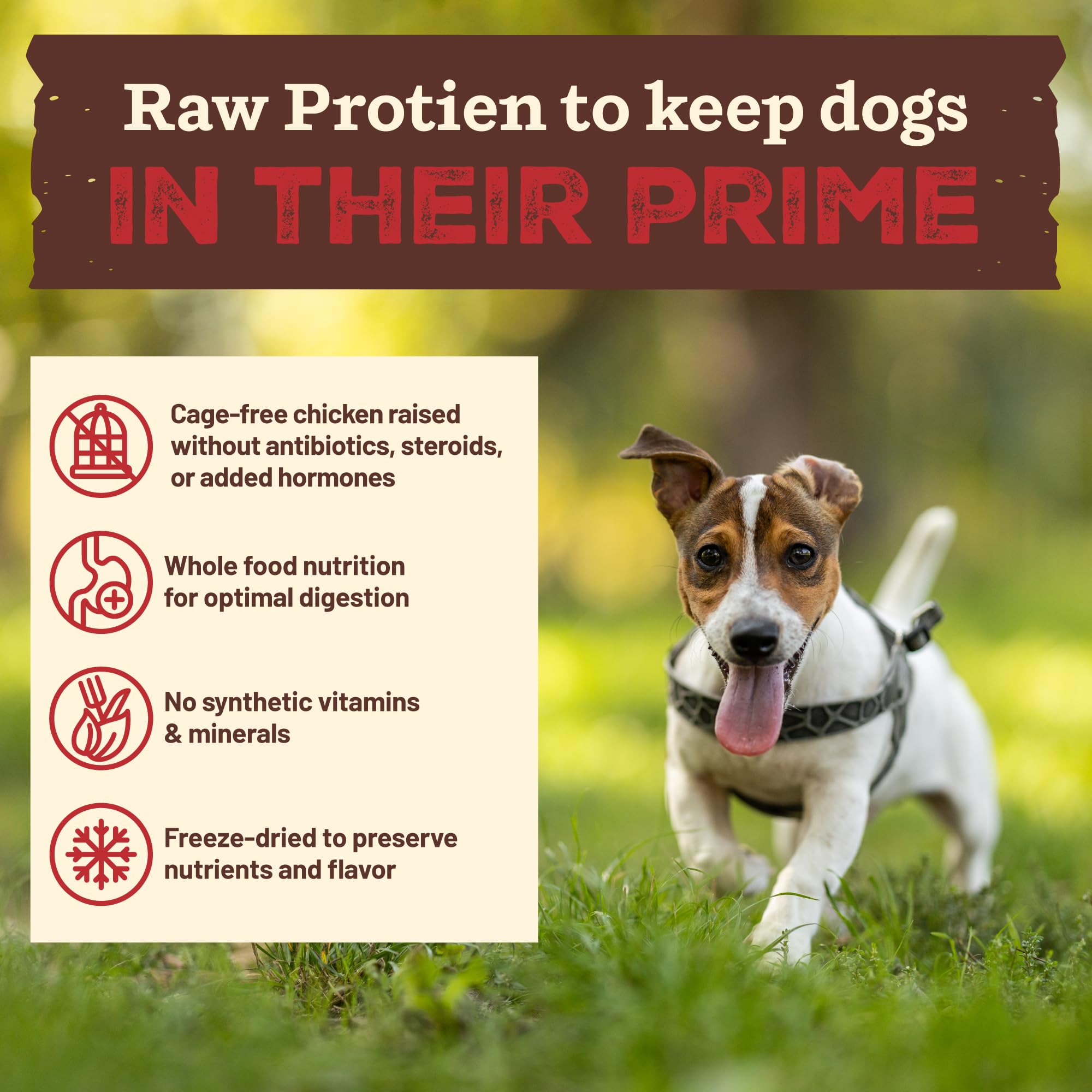 Primal ingrédients entiers — kale biologique, carottes et pommes.