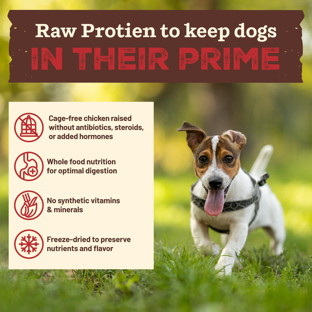 Primal ingrédients entiers — kale biologique, carottes et pommes.