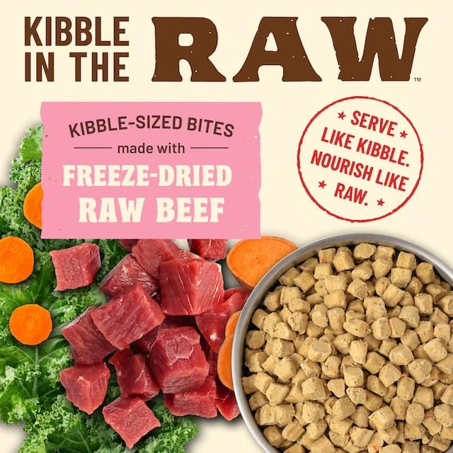 Primal Kibble boeuf lyophilisé – protéines crues pour chat, goût riche