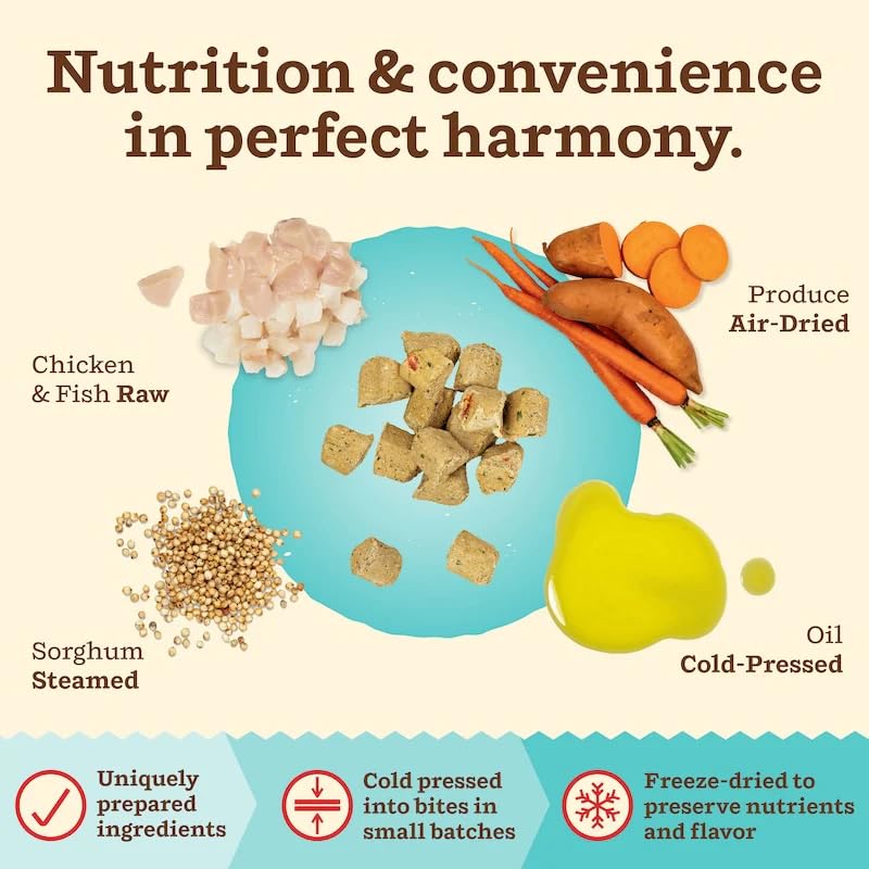 Assiette avec Primal Kibble en The Raw, portion pratique pour chat.