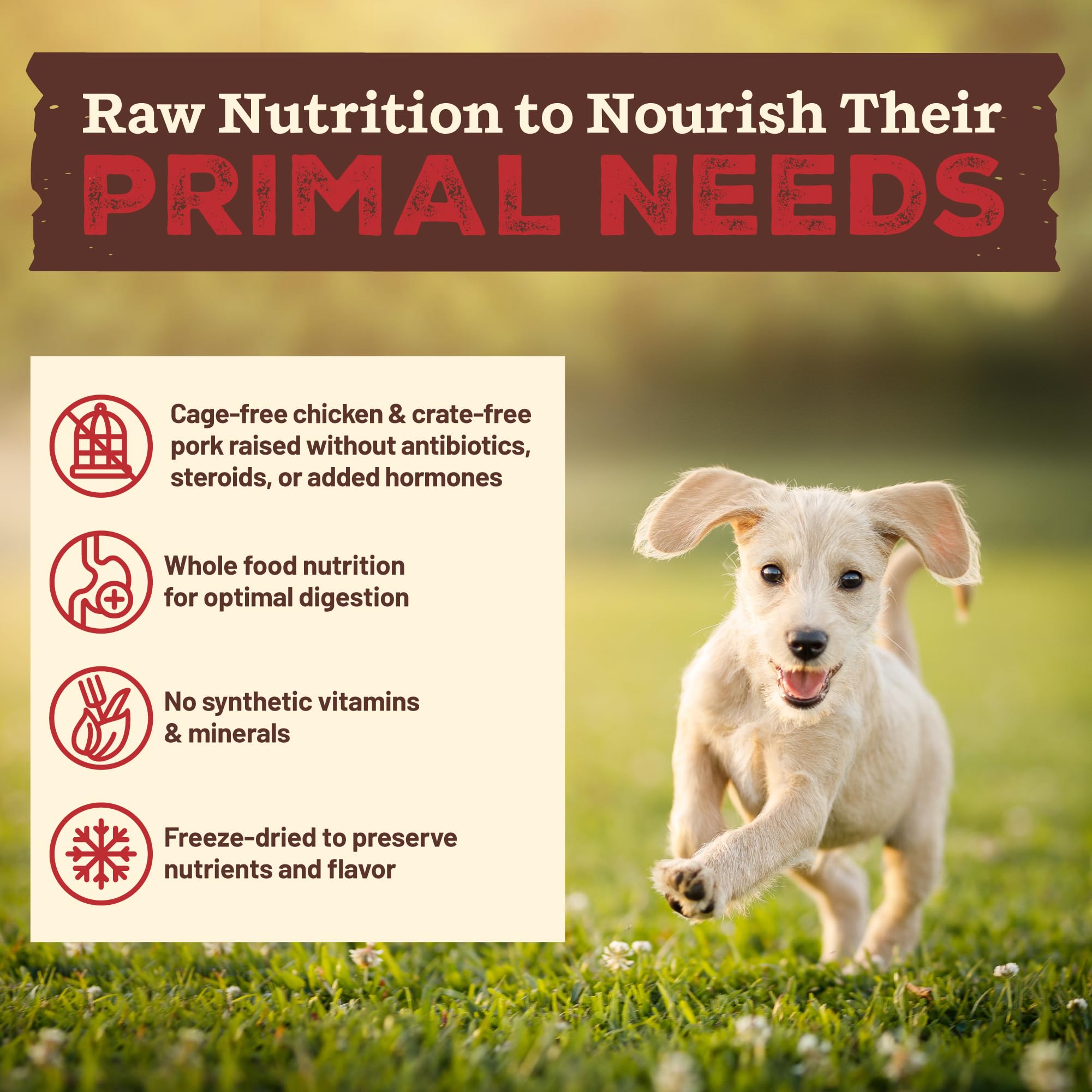 Primal Kibble dans le Cru — ingrédients entiers et naturels.