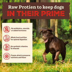 Primal croquettes dans l'état cru — ingrédients naturels tels que carottes et kale.