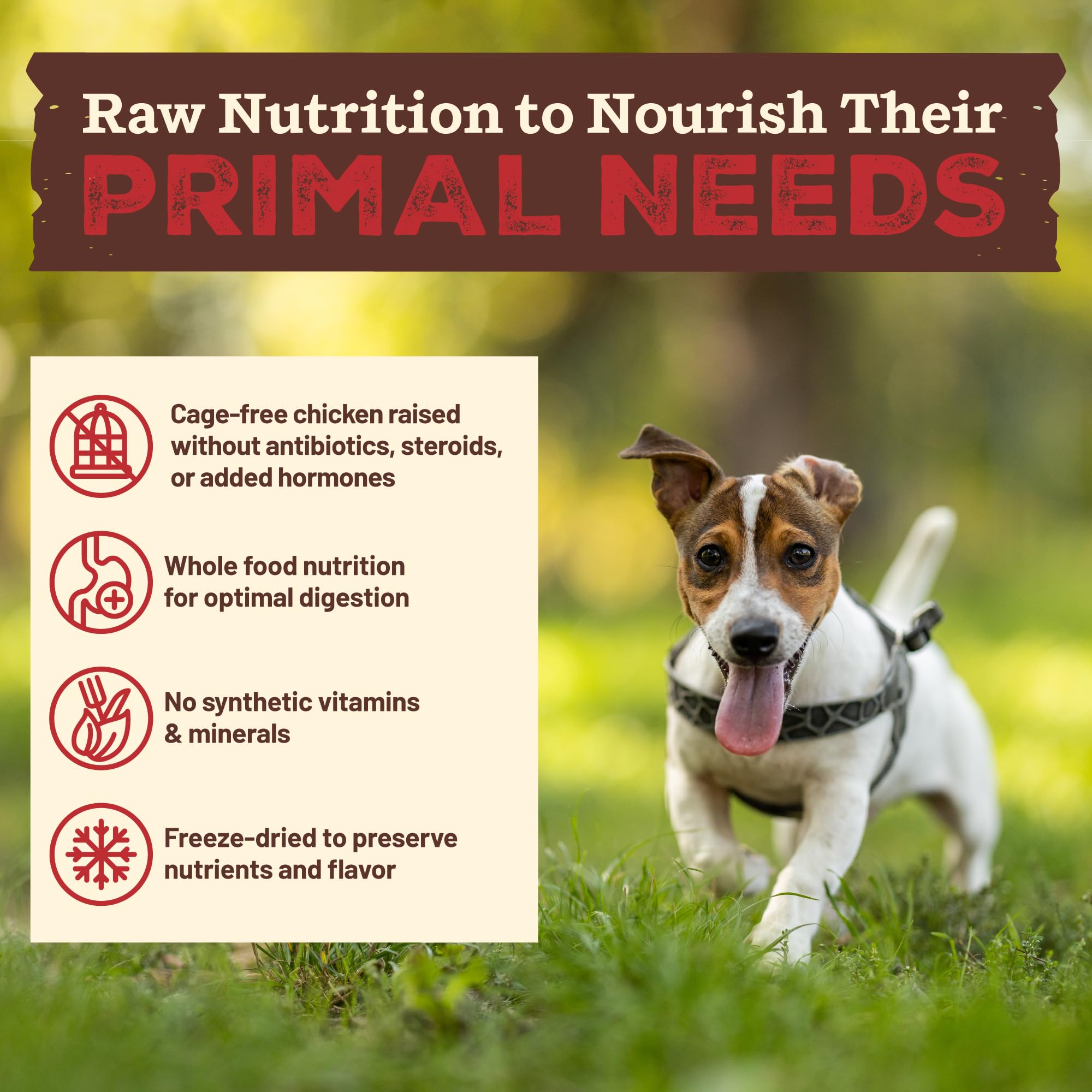 Primal Kibble en cru lyophilisé, légumes naturels dans la formulation.