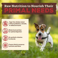 Primal Kibble en cru lyophilisé, légumes naturels dans la formulation.