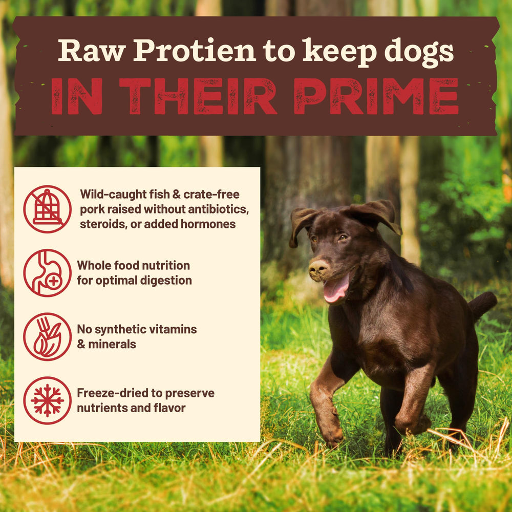 Primal Kibble avec légumes entiers kale et épinards
