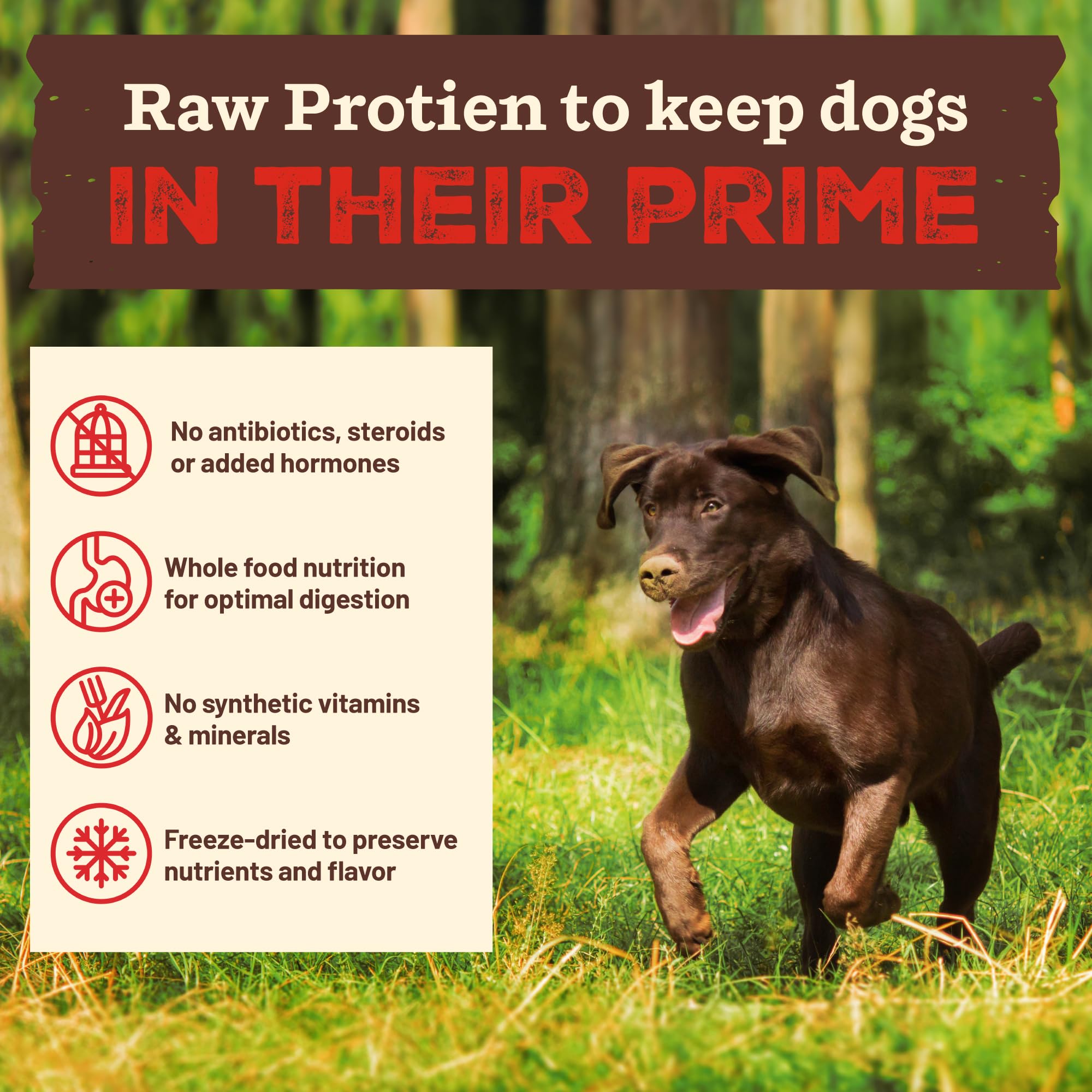 Primal Pet Foods - légumes entiers carottes kale patates douces pommes