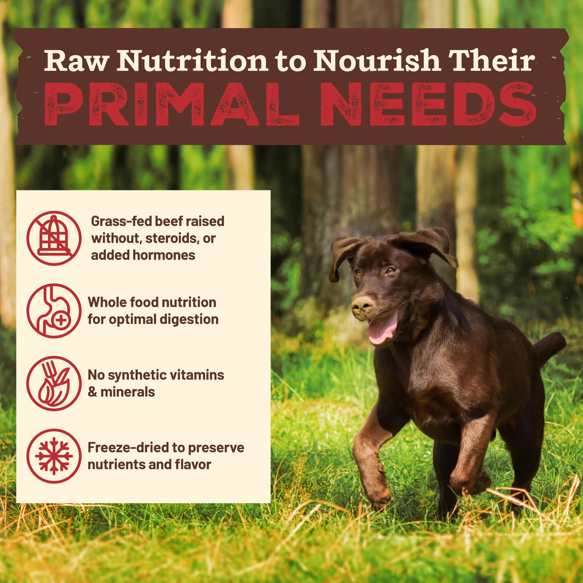 Primal Pet Foods Kibble en cru ingrédients naturels: fruits et légumes entiers présents